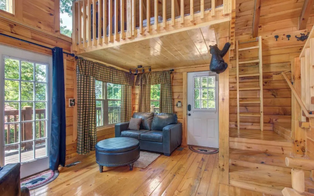 Beary Nice to Meet You!