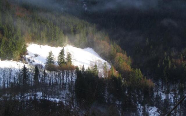 La Chouette à lheure du Pinson