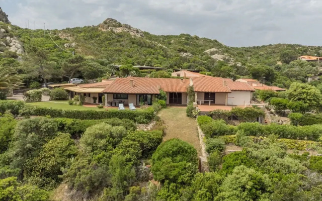 Mimosa Punta Sardegna
