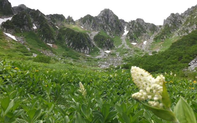 Komagane Kogen Resort Links
