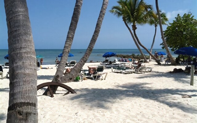 The Beach Bungalow