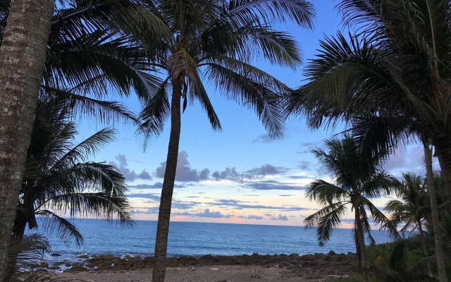 Coconut Beach Homestay