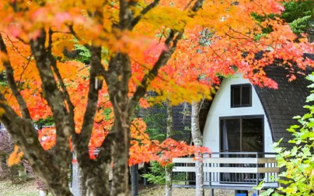Tiny Garden Tateshina -camp, Lodge & Cabins- – Outside – Chino