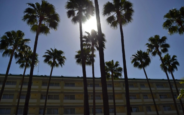 Aparthotel Playa del Sol - Adults Only