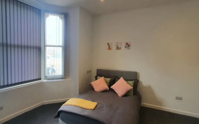 Nice Apartment in Leiceser