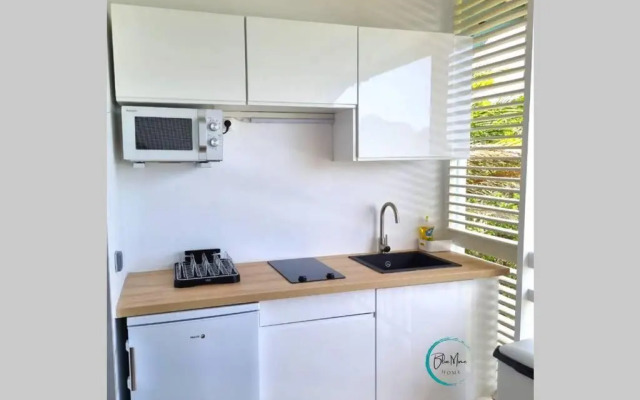 Blue Mine Home Studio