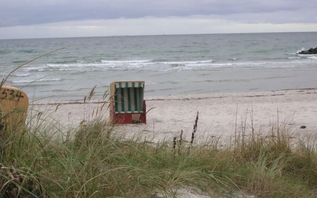 at the Organic Farm Angus-hof