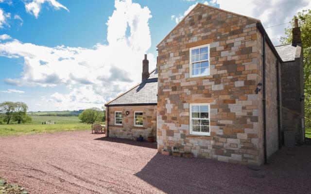 Countryside Escape - The Night Owl