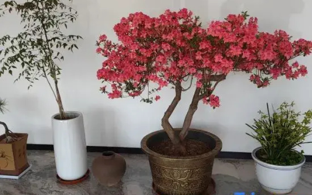 Xiangyi Homestay (Taihu Cultural Expo Park)