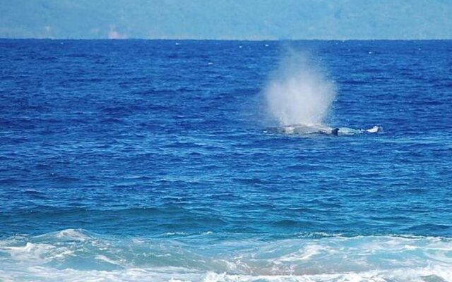 Bora Bora Eden Beach