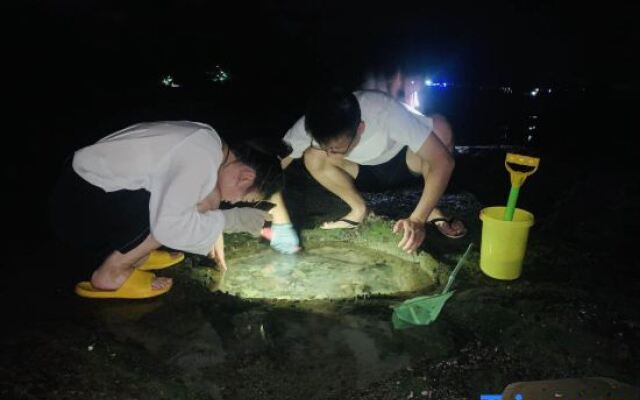 Weidu Inn Weizhou Island