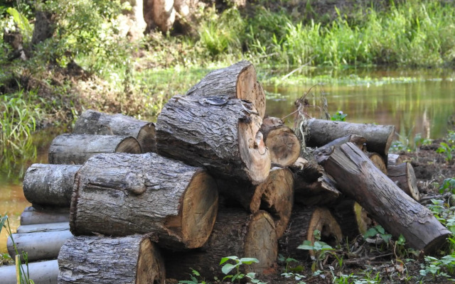 Pencil Creek Cottages