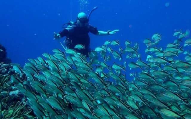 Agave Azul - Grand Cozumel, Hotel and Diving