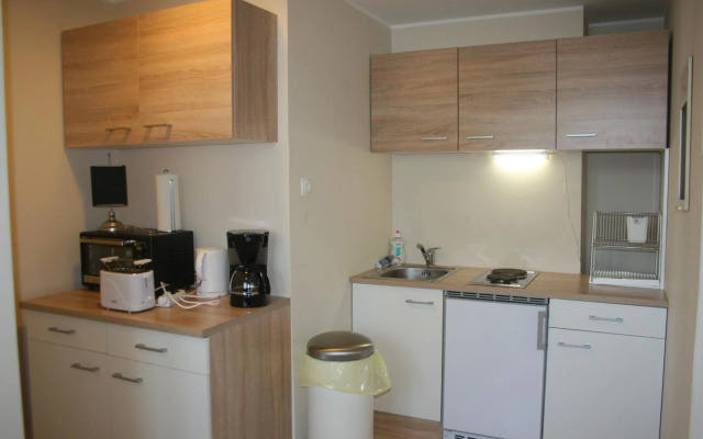 Vienna City Loft Apartment