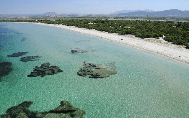 Room in Guest Room - S'olivariu Village Affittacamere - King Room With Garden View 2