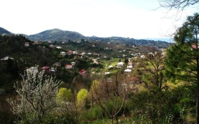 Eco Villa Guesthouse