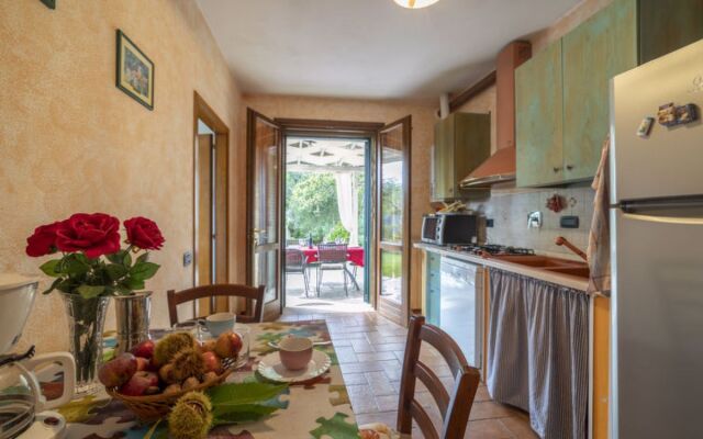 Rustico Cavernoso (SGI420)