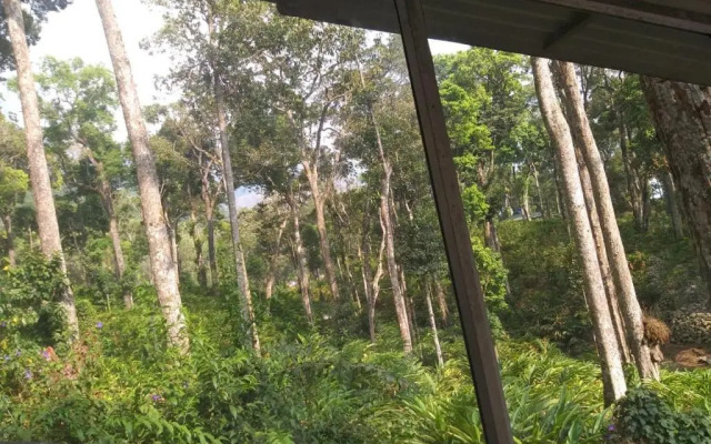 Woodpecker Resort