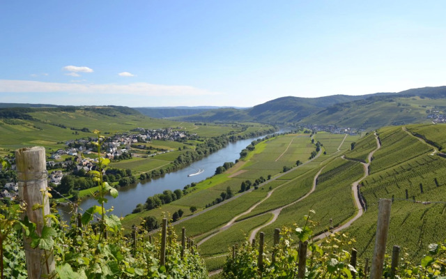 Gästehaus Weingut Mathy-Schanz