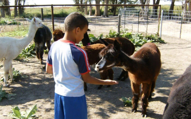 Best Western Angus Inn