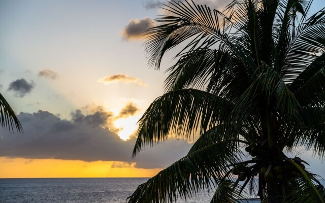 Caribbean vacations home