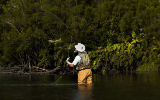 Hotel Parque Tepuhueico