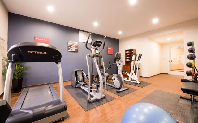 Comfort Suites Mount Vernon