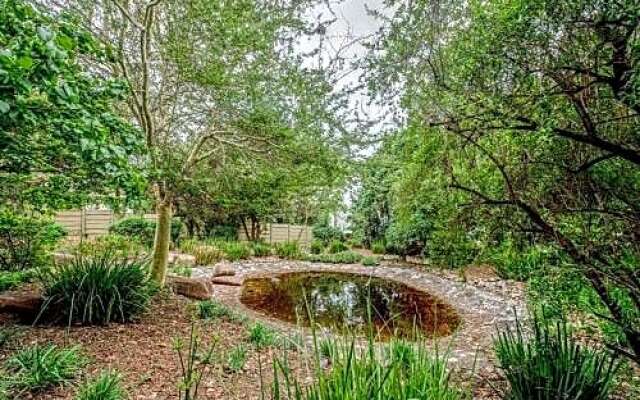 Wild Olive Executive Suite