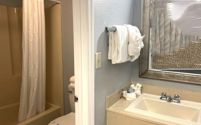 Blue Palmetto Vacation Rentals