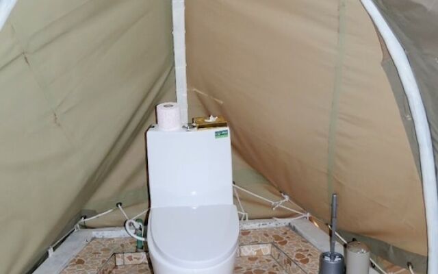 Amanya 2-rooms Lioness Family