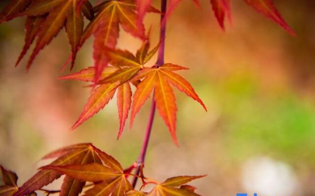 Youqi Boutique Hostel