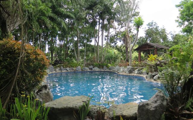 Cintai Coritos Garden