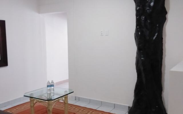 Tropicus 06 Suite Room With Terrace