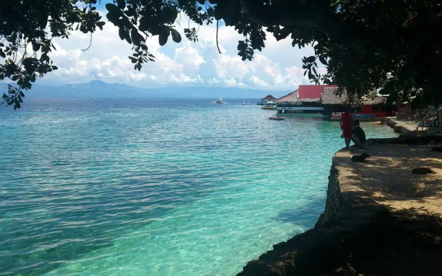 D' Gecko Hotel