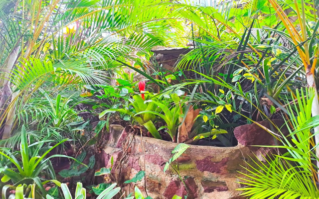 Old Mill Guest House