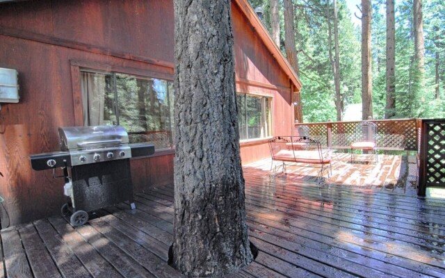 The Bernstein Bear Cabin