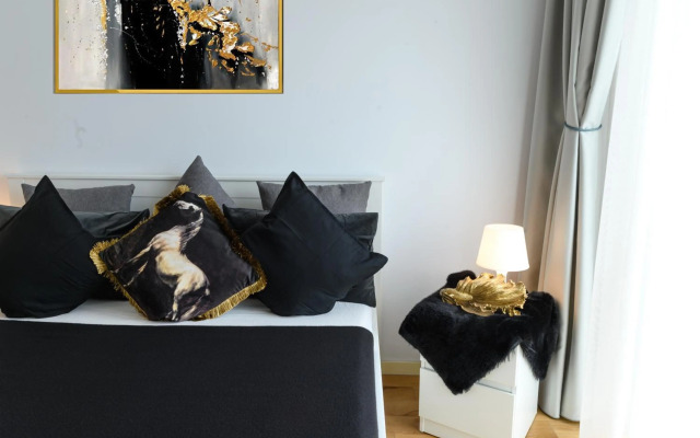 North Artistique - Aviatiei