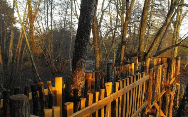 Cabane des cerfs