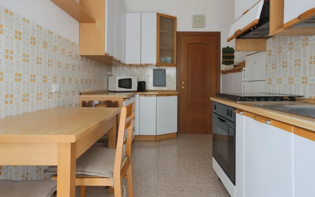 Noseda 5