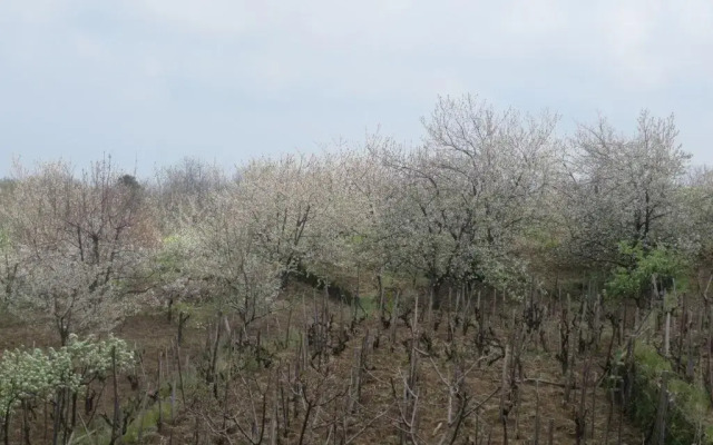 Le Case del Merlo