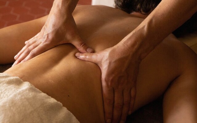 Maison et table d'hôtes le Camélia Blanc