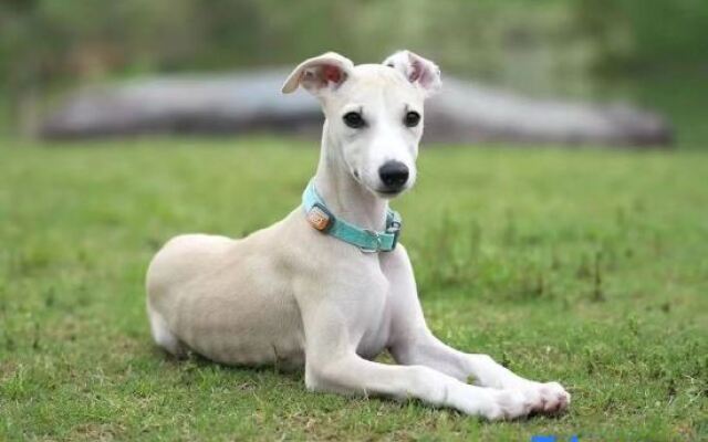 Narada Resort & Spa Phoenix Valley