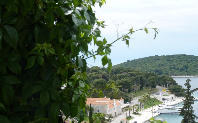 Apartment Željko - affordable and with sea view A1 Maslinica, Island Solta