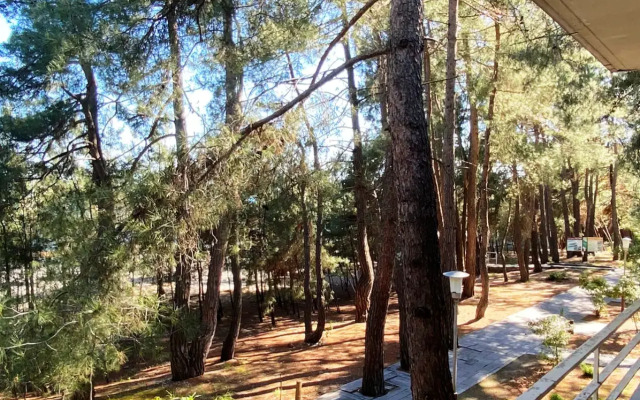 Госдача ЛДЗАА