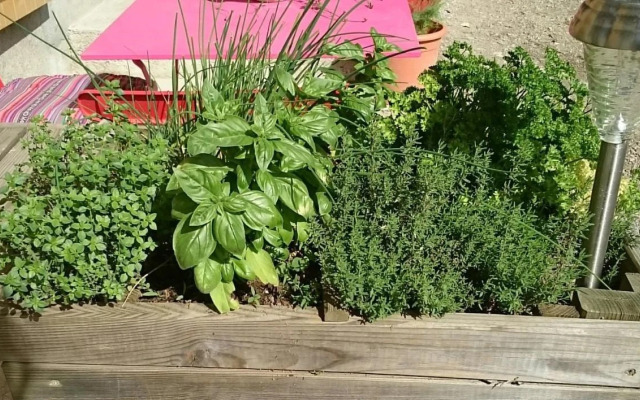 Studio chez Lili dans ferme familiale