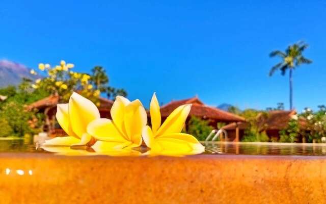 ABWonderdive Beach Resort