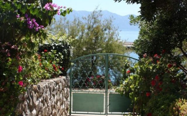 Room Mare - economy rooms: R3 Sucuraj, Island Hvar