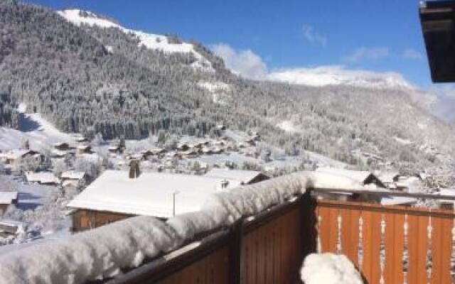 Chalet-Hôtel du Borderan