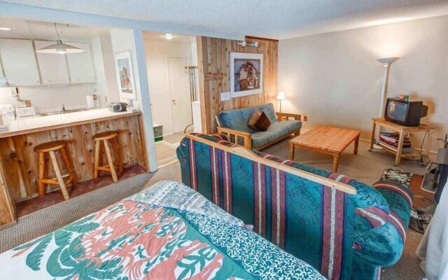 Hidden Valley #027 - Studio w/ Amenities - Walk to Village!