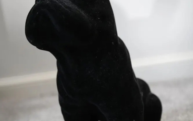 Week2Week Stunning 2 Bed Tynemouth Apartment